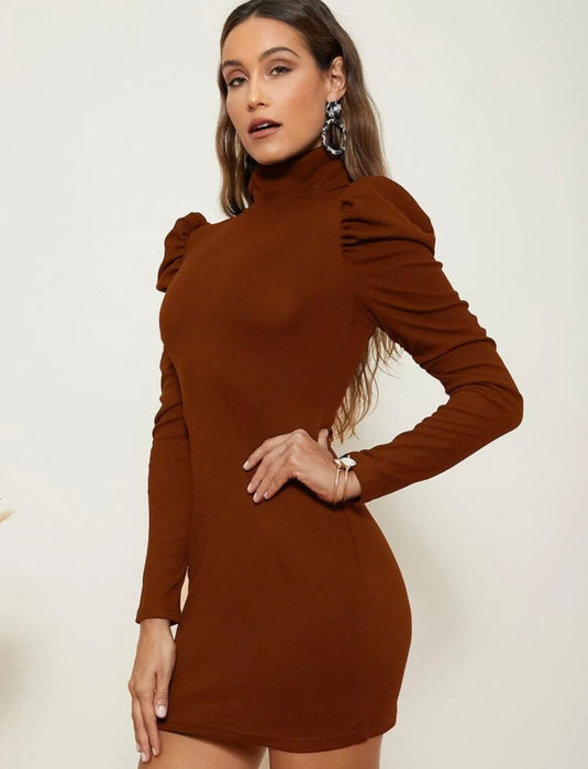 Brown body dress